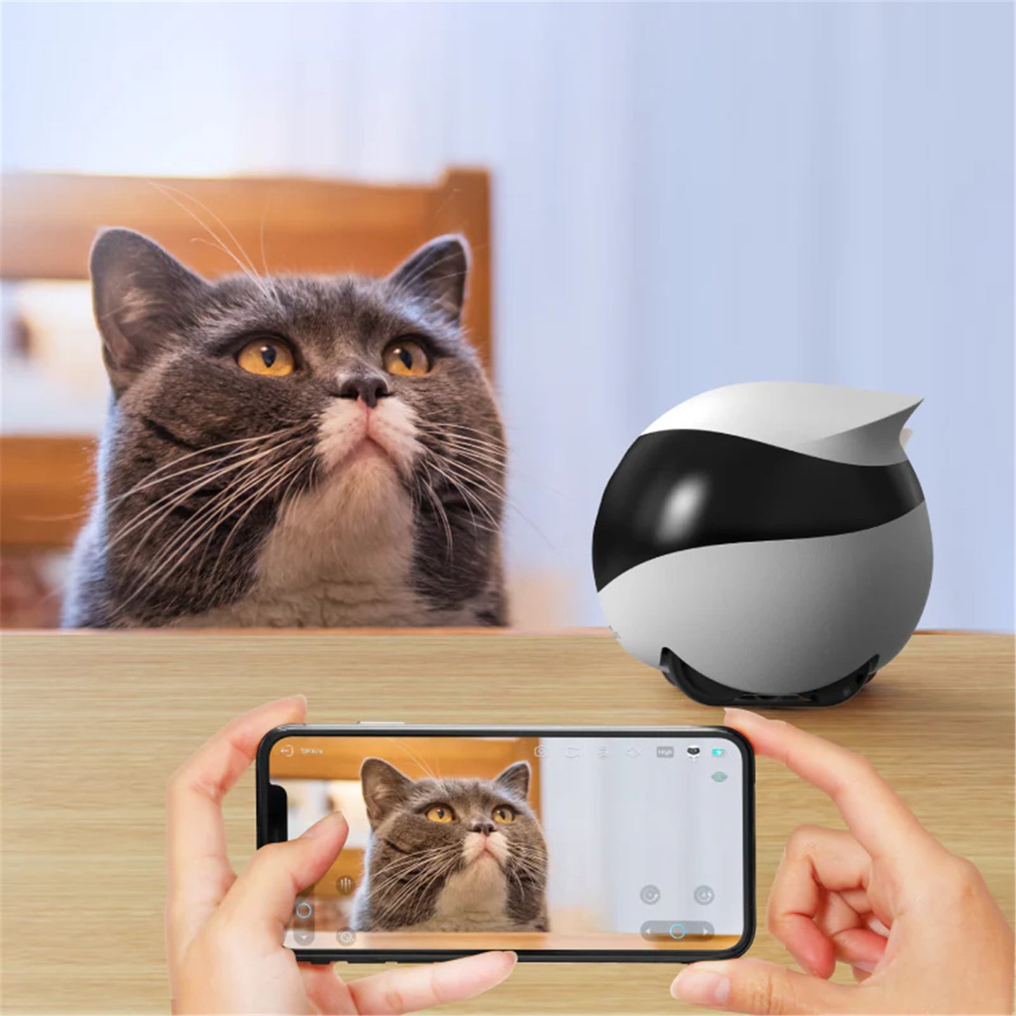 Enabot EBO SE Wireless Camera Robot | Designed for Pets & Families
