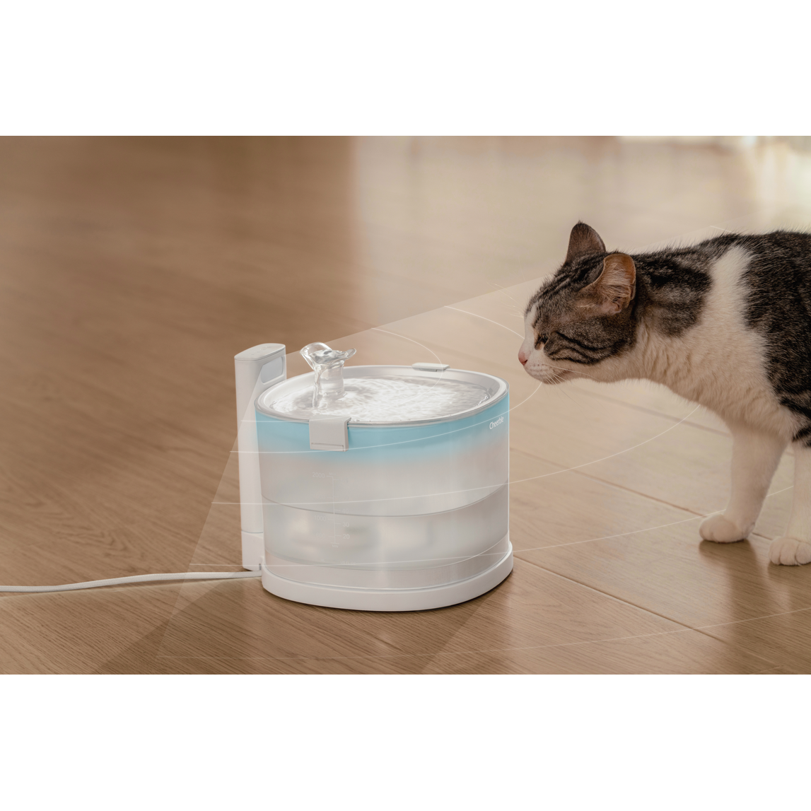 Cheerble Elfin E1 Pet Water Fountain 2L (AC Powered)