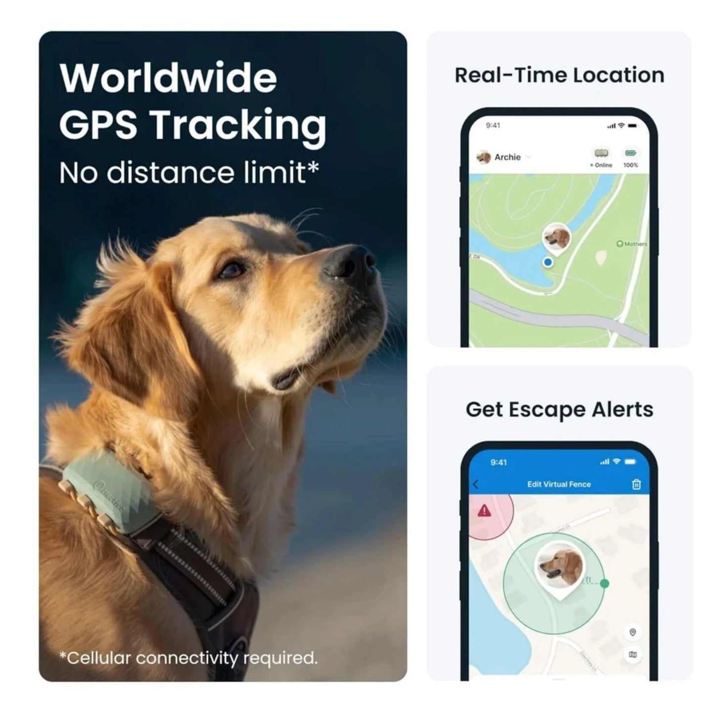 Tractive DOG XL GPS Tracker with Extended Battery Life (Green) for Dogs | Subscription Required