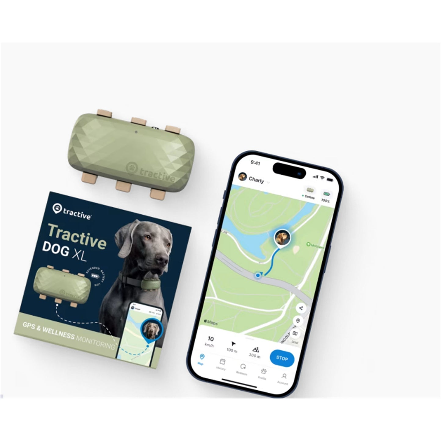 Tractive DOG XL GPS Tracker with Extended Battery Life Green for Dogs | Subscription Required