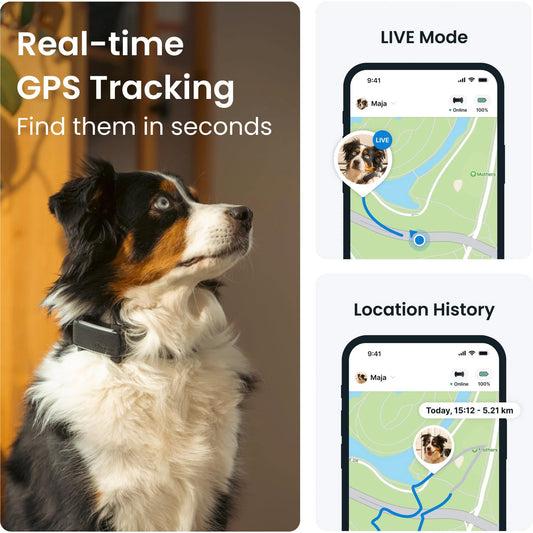 Tractive Dog 6 GPS Tracker (Black) for Dogs | Subscription Required