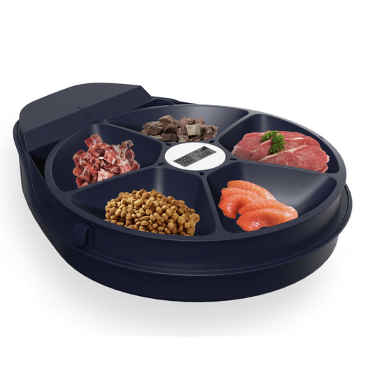 UB Pet by Pettecc Smart Refrigerated Feeder