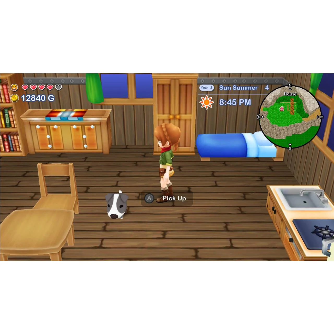 Harvest Moon: The Lost Valley & Skytree Village Double Pack (Nintendo Switch)