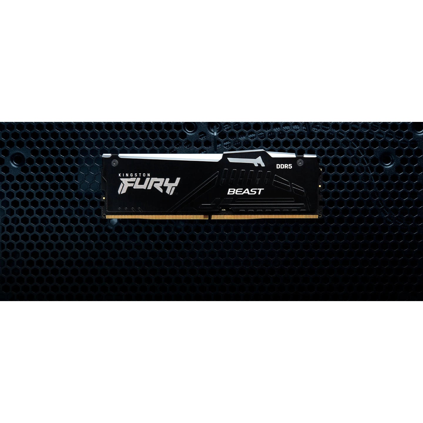 Kingston Fury Beast RGB 32GB (2x16GB) DDR5 CL36 DIMM Desktop RAM Kit (Black)