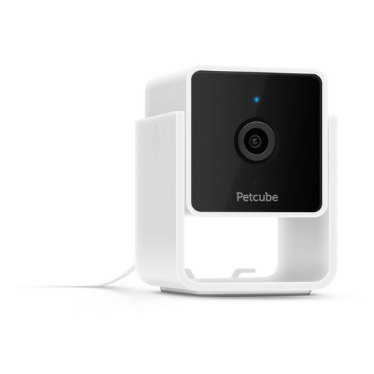 Petcube Cam WiFi 1080p with Night Vision | Cat & Dog Pet Monitoring Camera