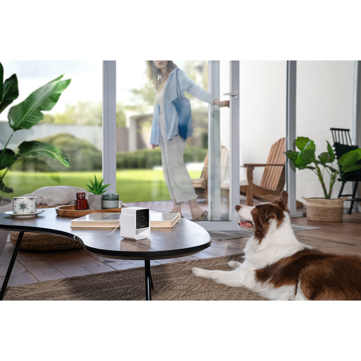 Petcube Cam WiFi 1080p with Night Vision | Cat & Dog Pet Monitoring Camera