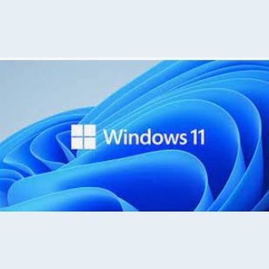 Microsoft Windows 11 Home 64bit OEM Eng Intl 1PK DSP OEI DVD For New System Only