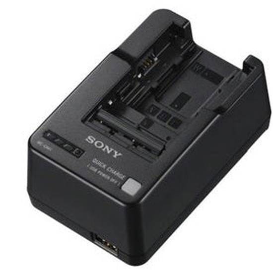 Sony BC-QM1 Charger W M V H P Series Batteries