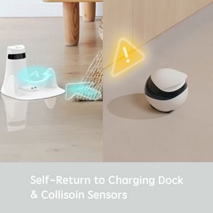 Enabot EBO SE Wireless Camera Robot | Designed for Pets & Families