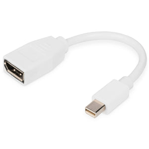 Ednet Mini-DisplayPort (M) to DisplayPort (F) Adapter Cable.