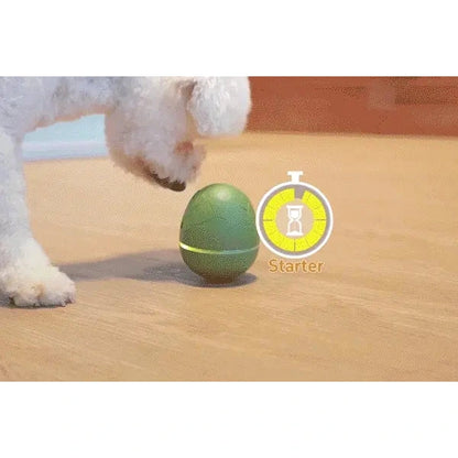Cheerble Wicked Egg - Interactive Treat Dispensing Cat & Dog Toy (Apricot)
