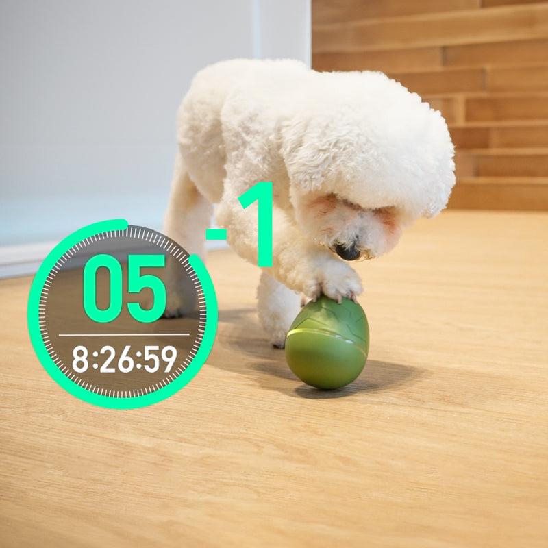 Cheerble Wicked Egg - Interactive Treat Dispensing Cat & Dog Toy (Apricot)