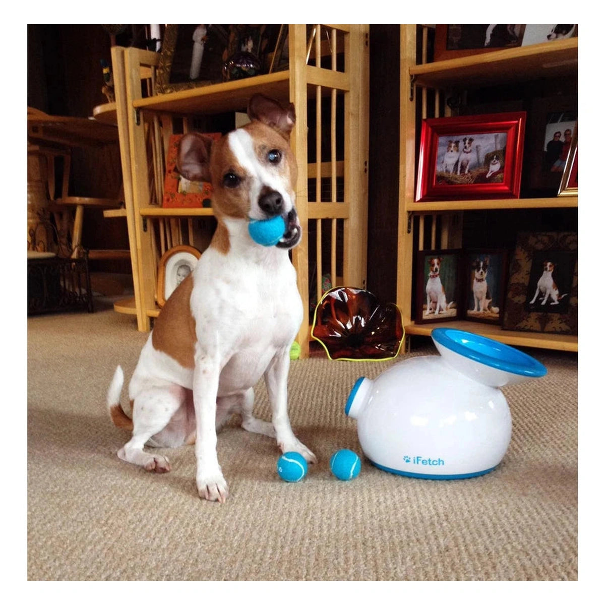 iFetch Original Ball Launcher - Interactive Dog Toy