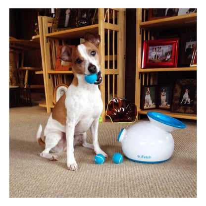 iFetch Original Ball Launcher - Interactive Dog Toy