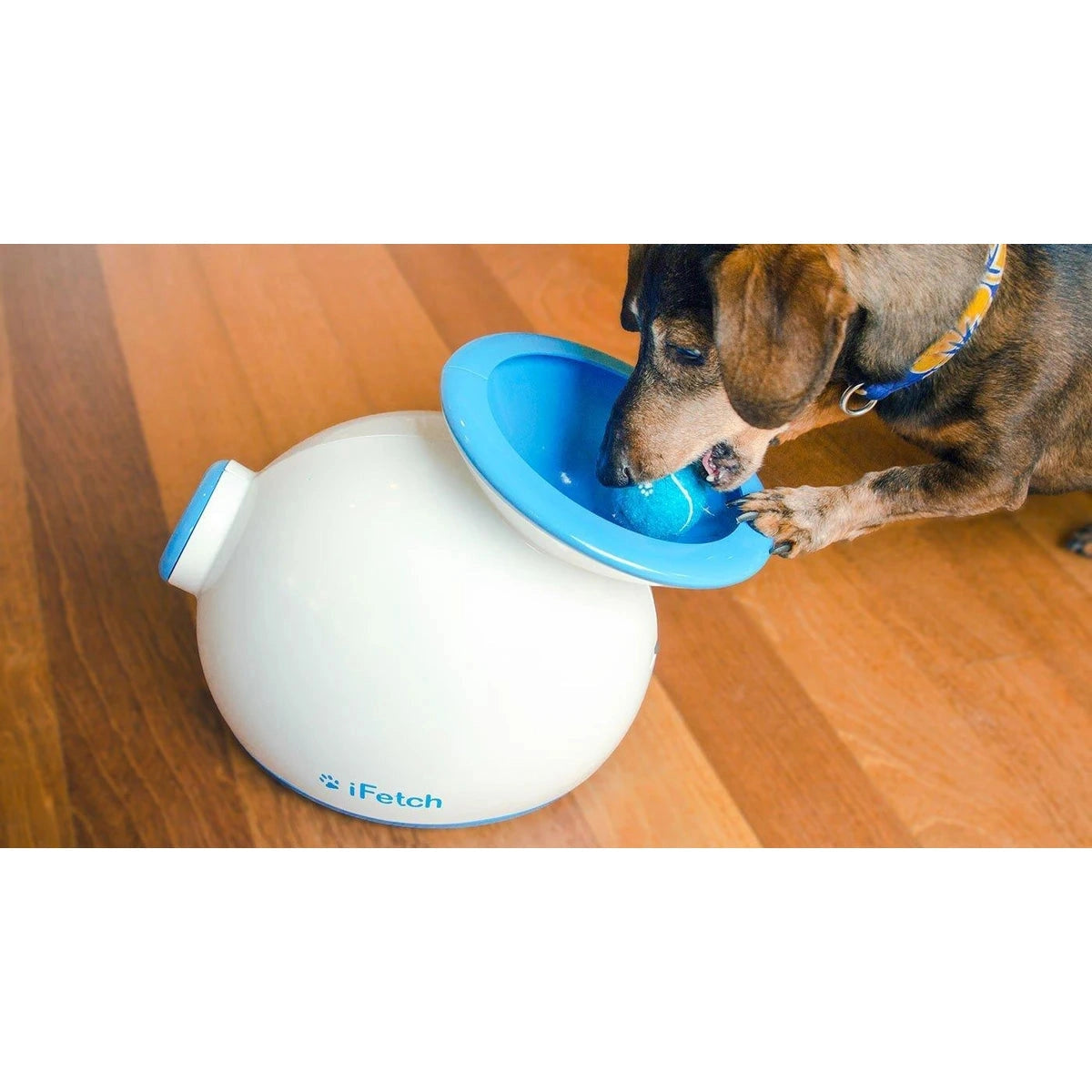 iFetch Original Ball Launcher - Interactive Dog Toy