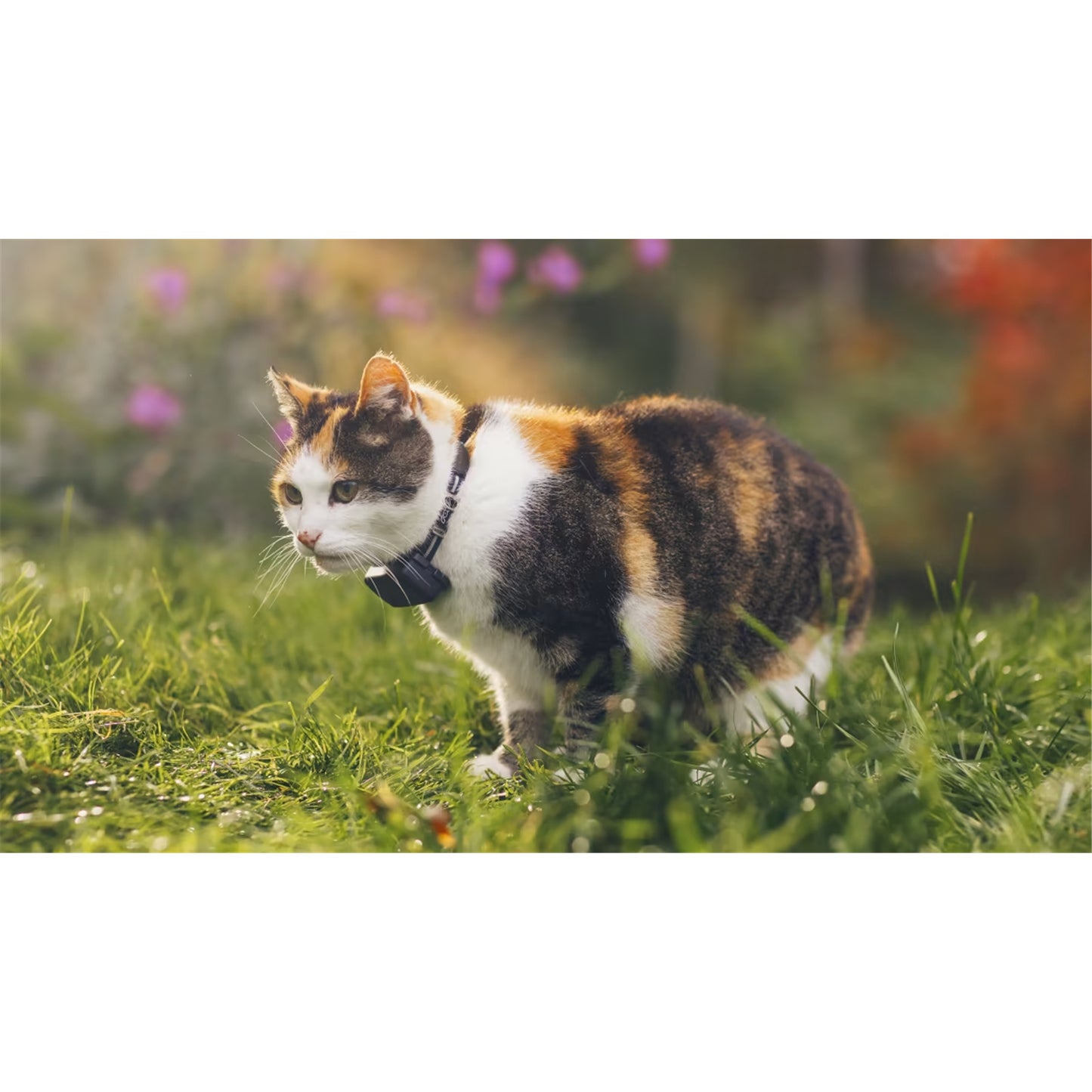 Tractive Cat Mini GPS Tracker (Midnight Blue) | Subscription Required