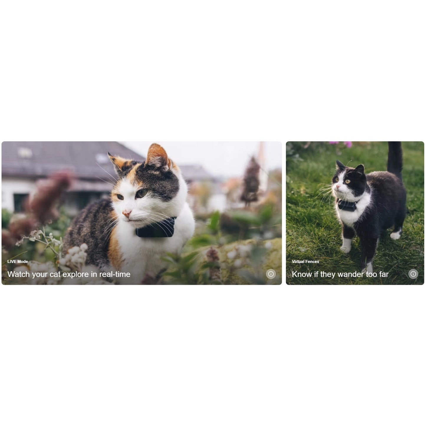 Tractive Cat Mini GPS Tracker (Midnight Blue) | Subscription Required