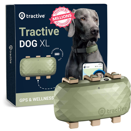 Tractive DOG XL GPS Tracker with Extended Battery Life (Green) for Dogs | Subscription Required