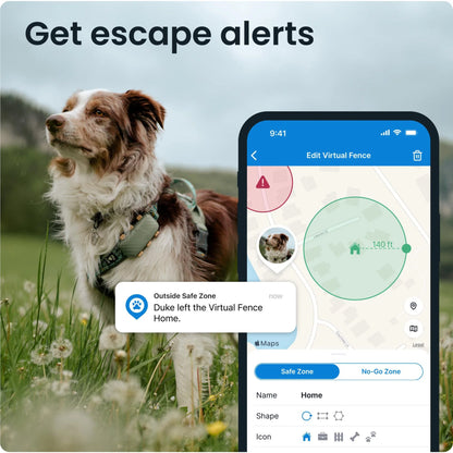 Tractive DOG XL GPS Tracker with Extended Battery Life (Green) for Dogs | Subscription Required