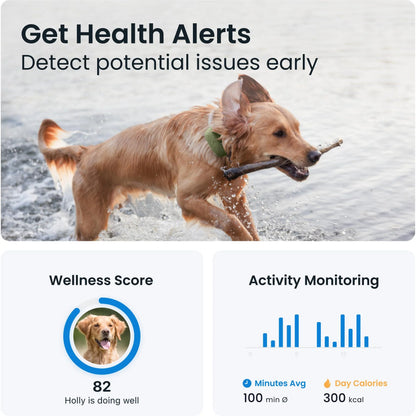 Tractive DOG XL GPS Tracker with Extended Battery Life (Green) for Dogs | Subscription Required