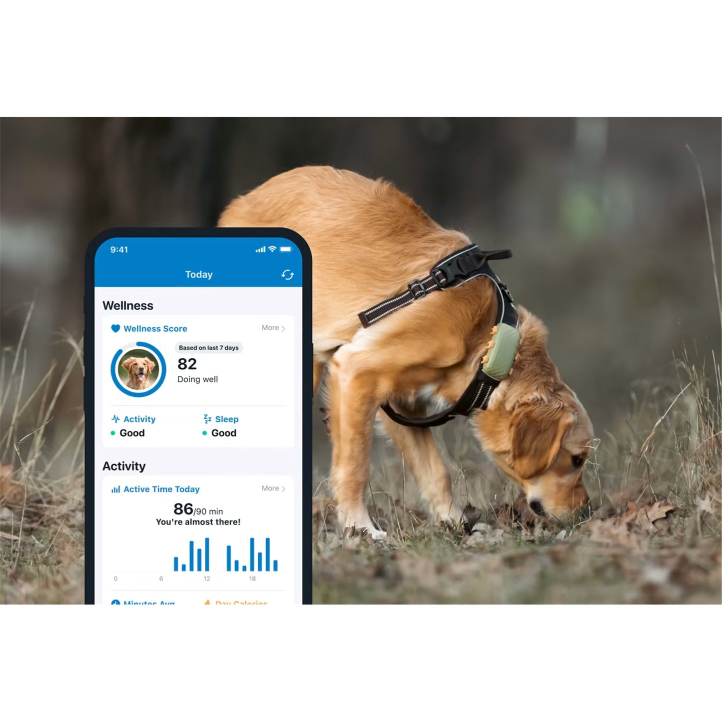 Tractive DOG XL GPS Tracker with Extended Battery Life (Green) for Dogs | Subscription Required