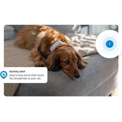 Tractive DOG XL GPS Tracker with Extended Battery Life (Green) for Dogs | Subscription Required