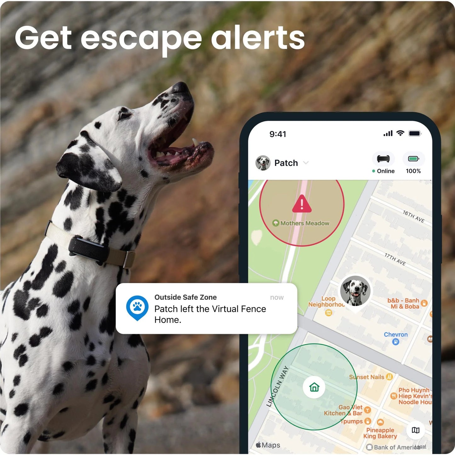 Tractive Dog 6 GPS Tracker (Black) for Dogs | Subscription Required