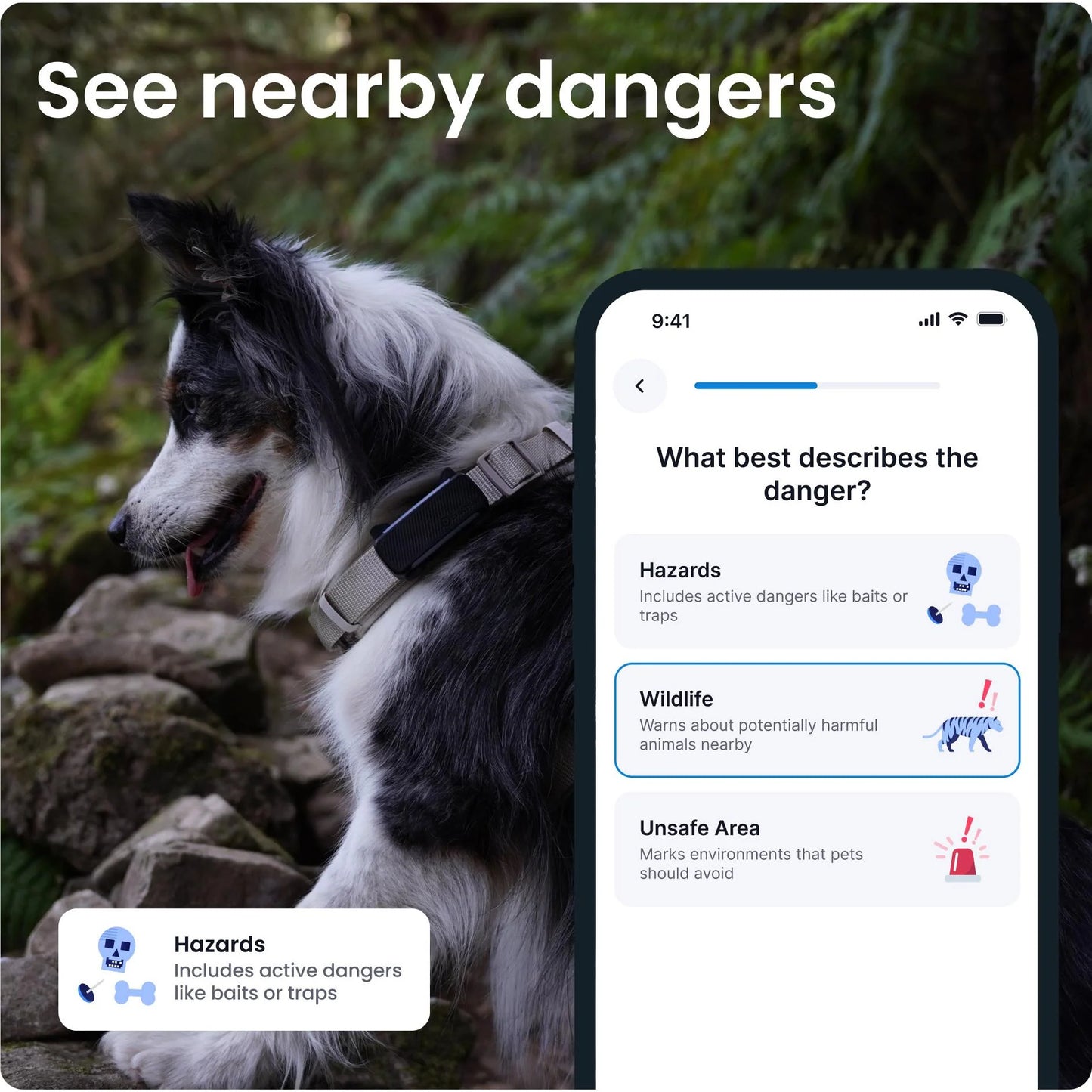 Tractive Dog 6 GPS Tracker (Black) for Dogs | Subscription Required