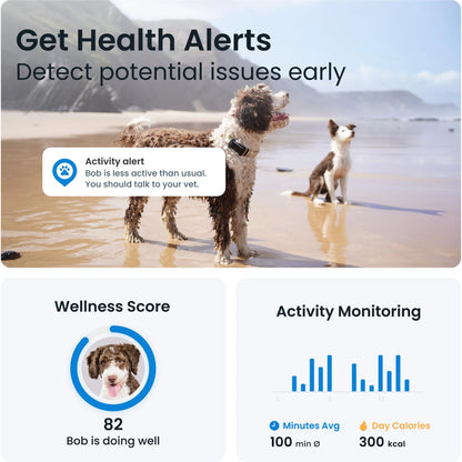 Tractive Dog 6 GPS Tracker (Black) for Dogs | Subscription Required