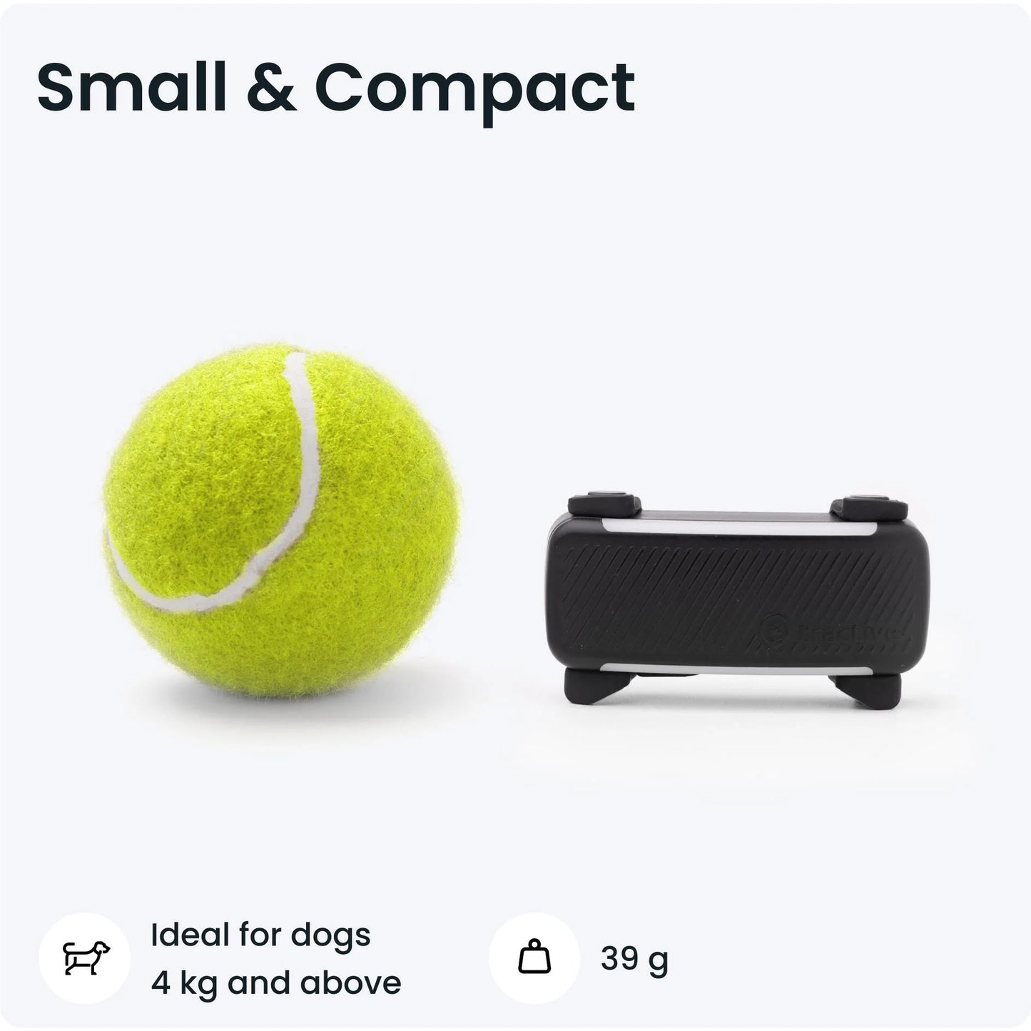 Tractive Dog 6 GPS Tracker (Black) for Dogs | Subscription Required