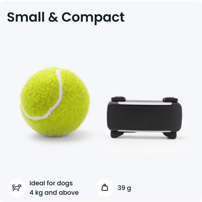 Tractive Dog 6 GPS Tracker (Black) for Dogs | Subscription Required