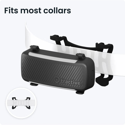 Tractive Dog 6 GPS Tracker (Black) for Dogs | Subscription Required