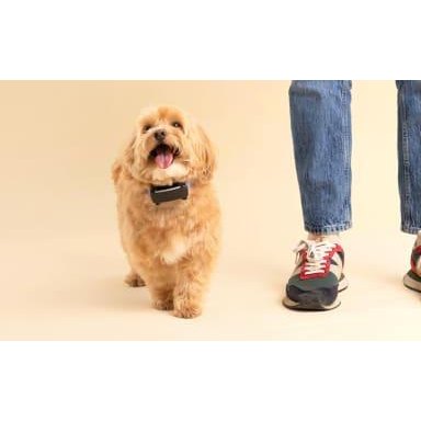 Tractive Dog 6 GPS Tracker (Black) for Dogs | Subscription Required