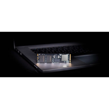 Adata XPG Gammix S70 Blade 1TB M.2 2280 PCIe Gen 4 NVMe Internal SSD (PS5 compatible)