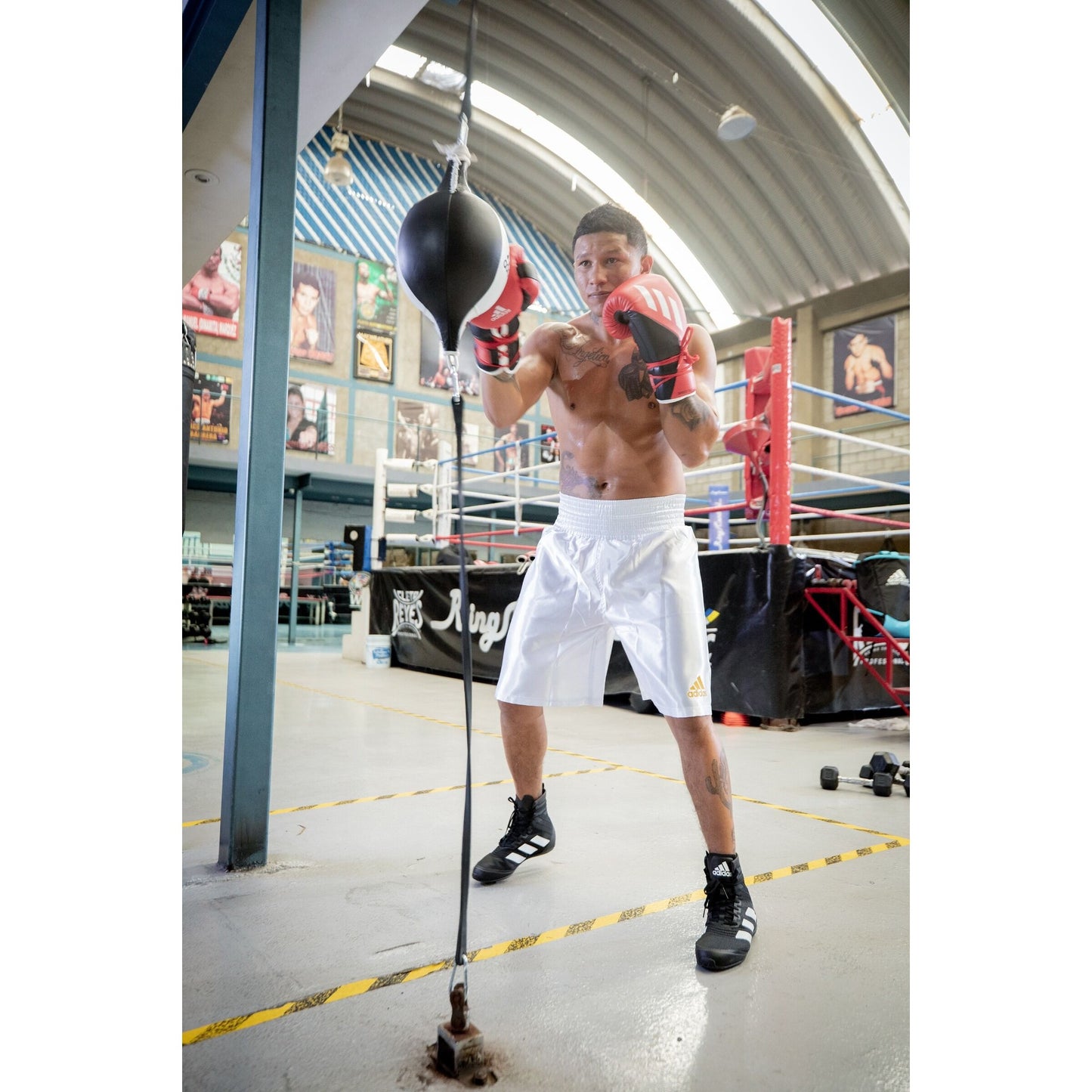 Adidas Speed Double End Ball - Boxing Punchbag (Black/White)