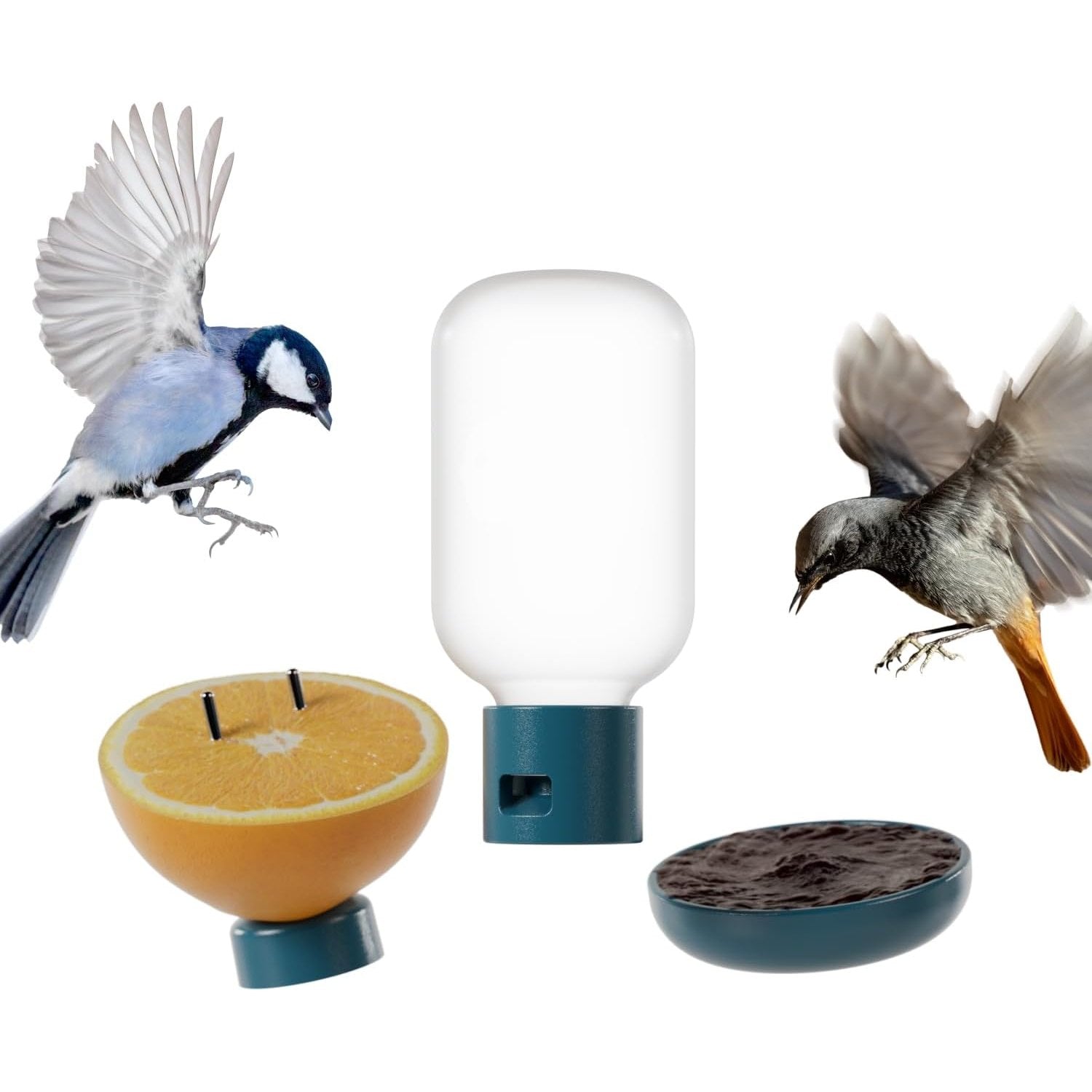 Birdbuddy 3-in-1 Nutrition Set for Smart Bird Feeder - Fruit Spike - Jelly Tray - Water Fountain Blue