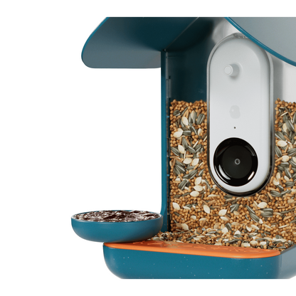 Birdbuddy 3-in-1 Nutrition Set for Smart Bird Feeder - Fruit Spike - Jelly Tray - Water Fountain Blue