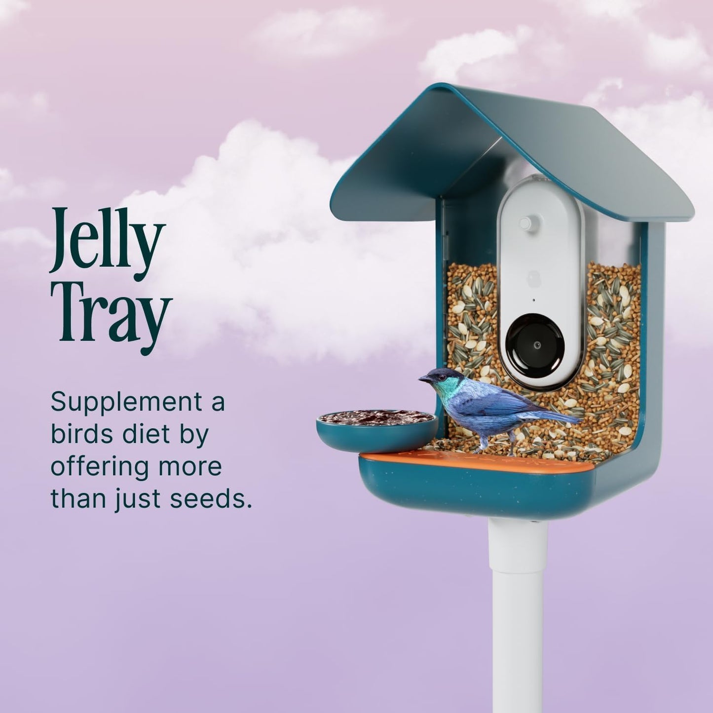 Birdbuddy 3-in-1 Nutrition Set for Smart Bird Feeder - Fruit Spike - Jelly Tray - Water Fountain Blue