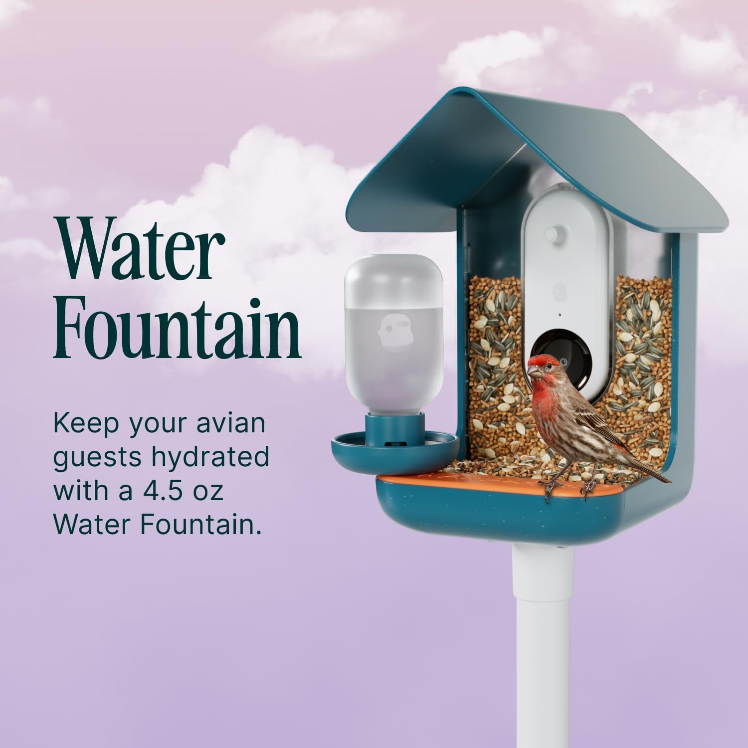 Birdbuddy 3-in-1 Nutrition Set for Smart Bird Feeder - Fruit Spike - Jelly Tray - Water Fountain Blue