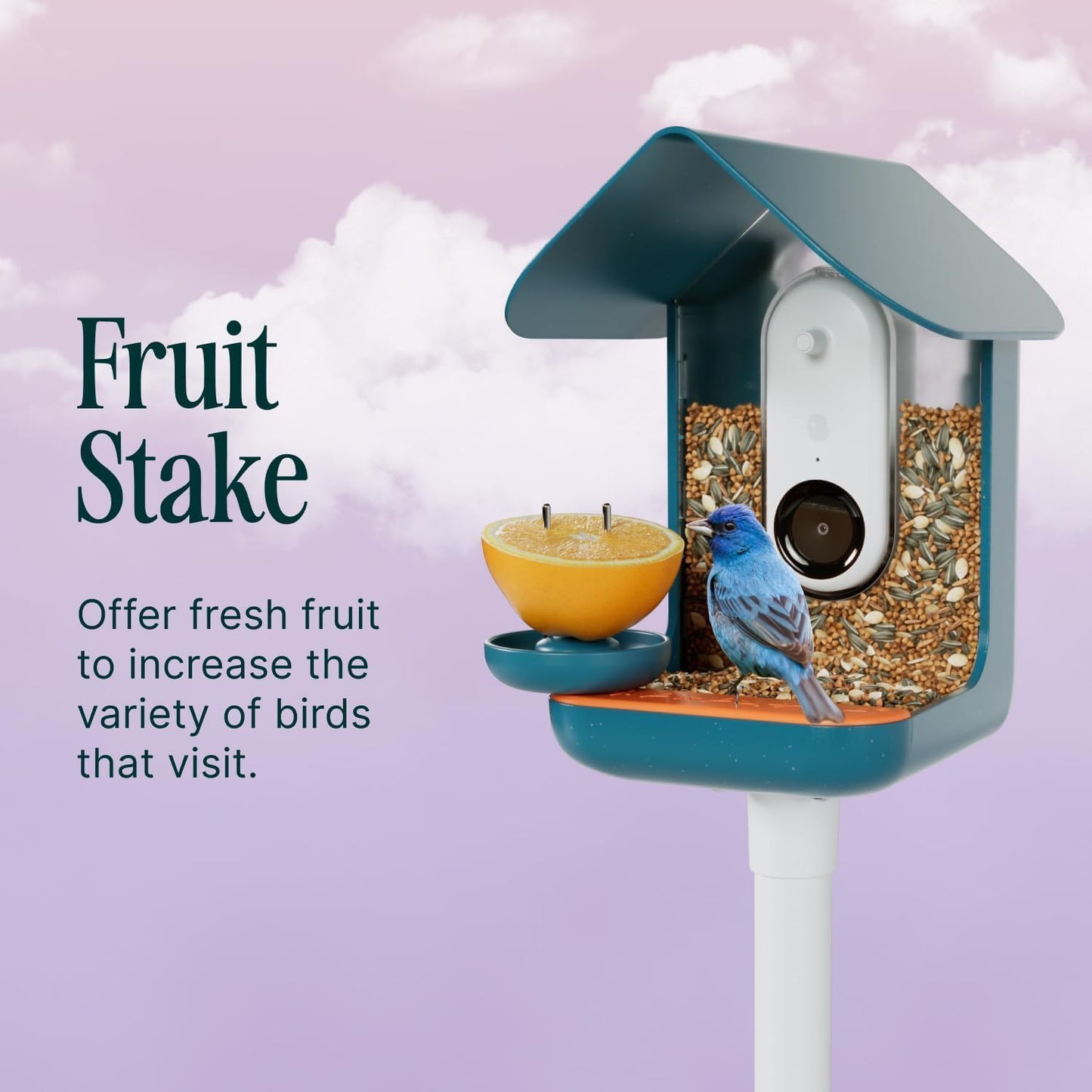 Birdbuddy 3-in-1 Nutrition Set for Smart Bird Feeder - Fruit Spike - Jelly Tray - Water Fountain Blue