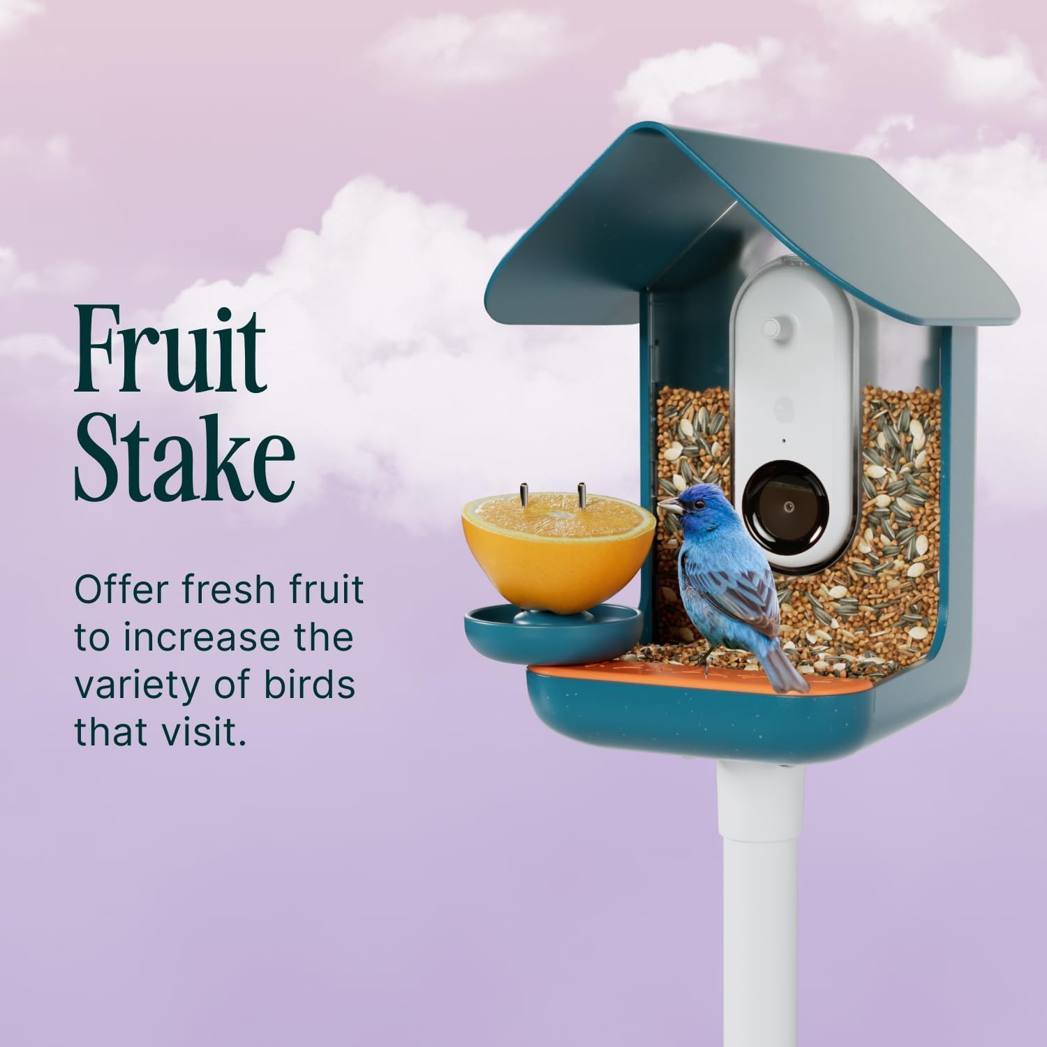 Birdbuddy 3-in-1 Nutrition Set for Smart Bird Feeder - Fruit Spike - Jelly Tray - Water Fountain Blue