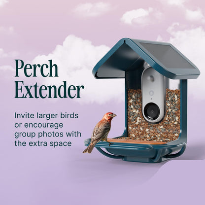 Birdbuddy Perch Extender for Smart Bird Feeder Blue