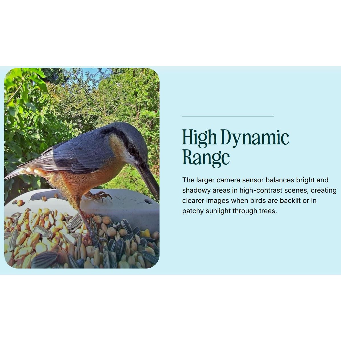 Birdbuddy Pro Solar Smart Bird Feeder with Solar Powered Roof and 2K 1440p AI Camera Blue