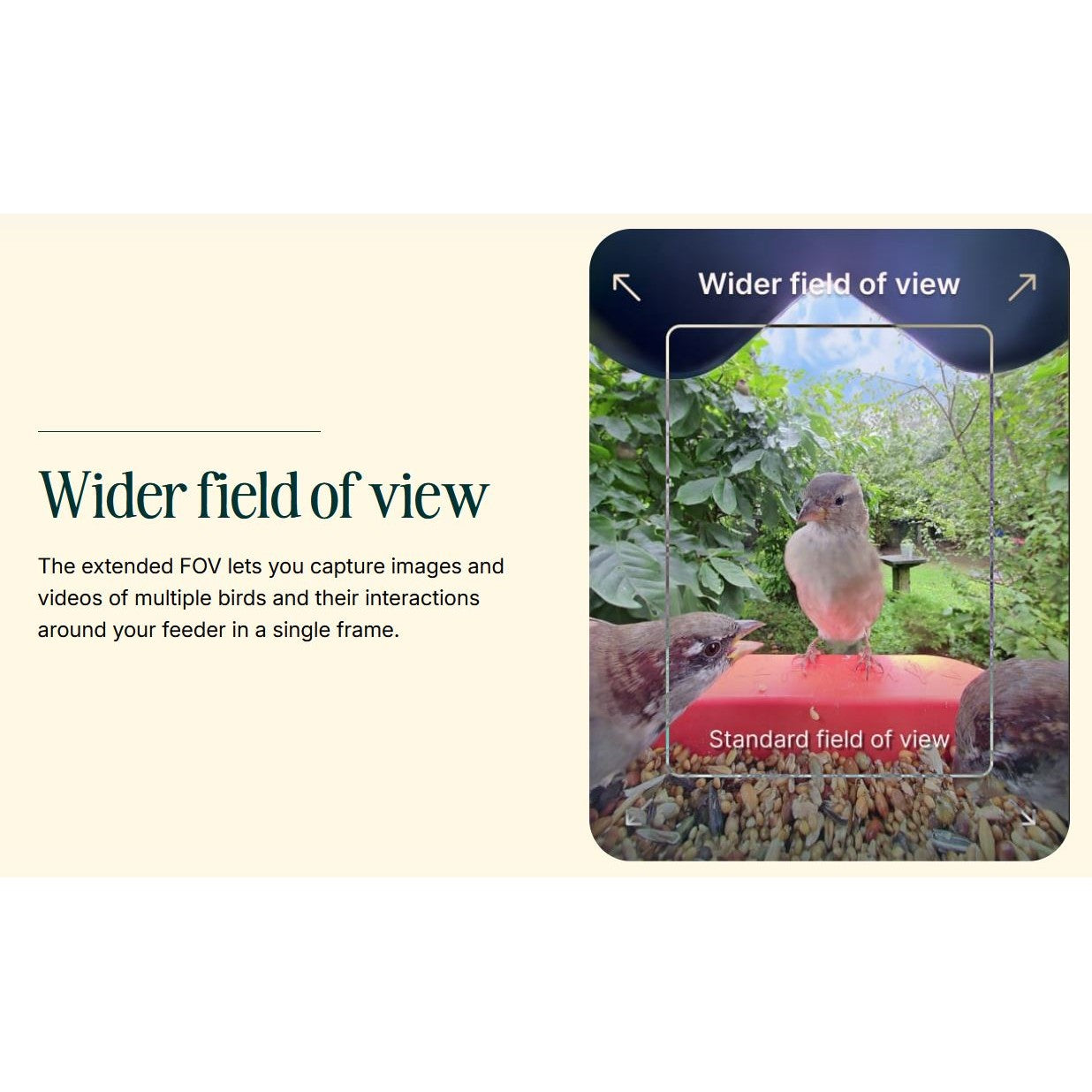 Birdbuddy Pro Solar Smart Bird Feeder with Solar Powered Roof and 2K 1440p AI Camera Blue