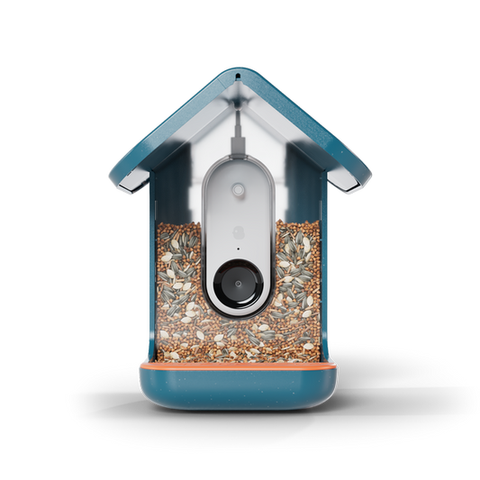 Birdbuddy Pro Solar Smart Bird Feeder with Solar Powered Roof and 2K 1440p AI Camera Blue