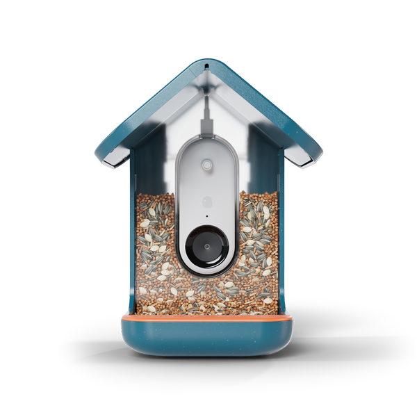 Birdbuddy Pro Solar Smart Bird Feeder with Solar Powered Roof and 2K 1440p AI Camera Blue