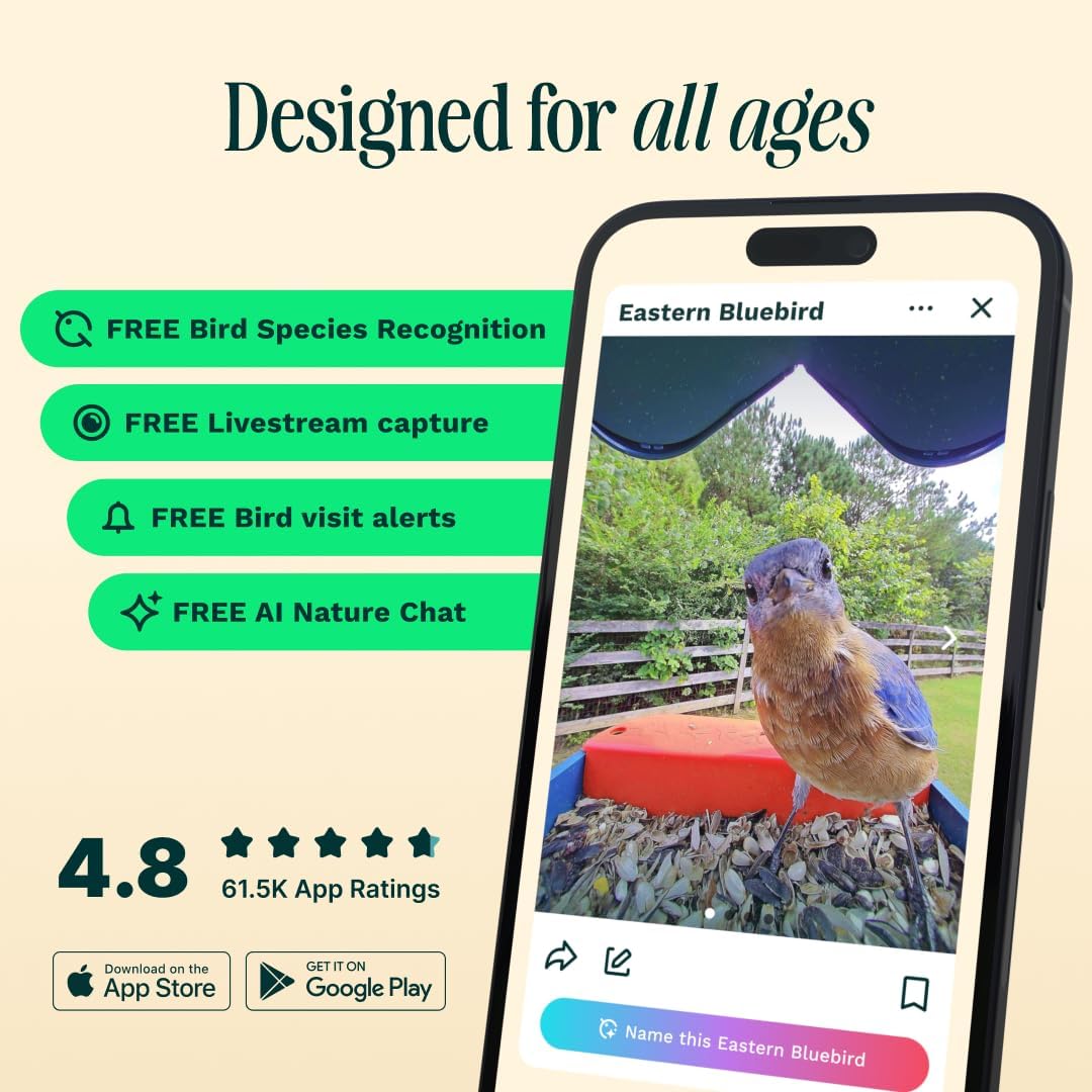 Birdbuddy Pro Solar Smart Bird Feeder with Solar Powered Roof and 2K 1440p AI Camera Blue