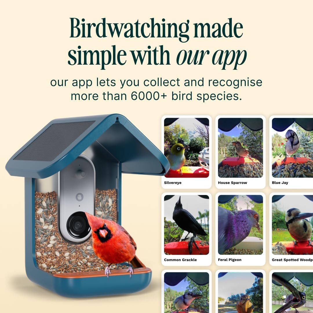 Birdbuddy Pro Solar Smart Bird Feeder with Solar Powered Roof and 2K 1440p AI Camera Blue