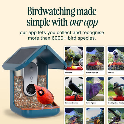 Birdbuddy Pro Solar Smart Bird Feeder with Solar Powered Roof and 2K 1440p AI Camera Blue