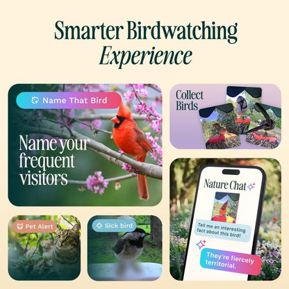 Birdbuddy Pro Solar Smart Bird Feeder with Solar Powered Roof and 2K 1440p AI Camera Blue